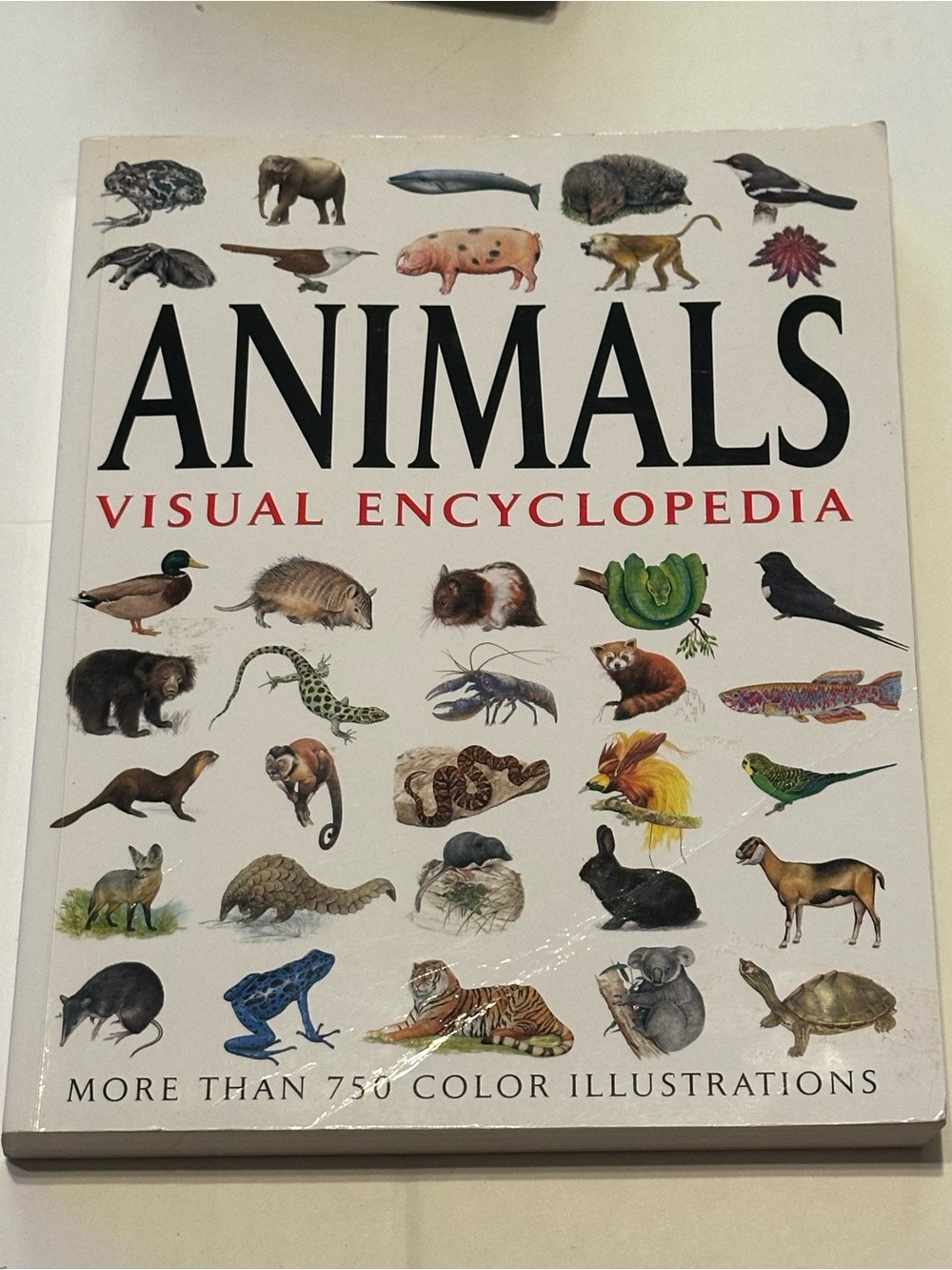 Animals Visual Encyclopedia - White Cover